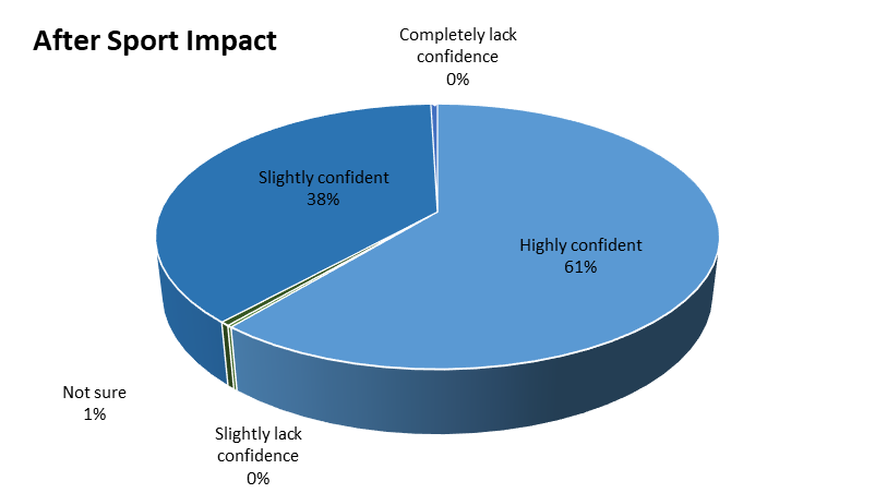 Confidence levels pie chart